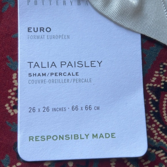 BRAND NEW Pottery Barn Talia Paisley Euro Sham - Picture 3 of 6